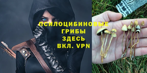 стафф Беломорск