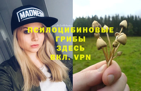 jwh Белокуриха