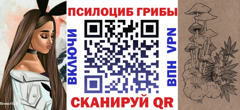 Галлюциногенные грибы Psilocybine cubensis  Купить где  Горняк 
